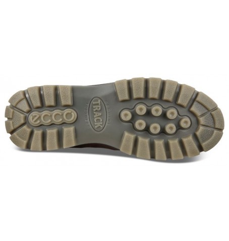 Ecco TRACK 25 LOW GTX 831714 - Brown - 831714$52600.03