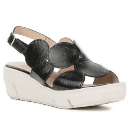 Collections Bulle D-8210 - Black varnish - D8210$01WD