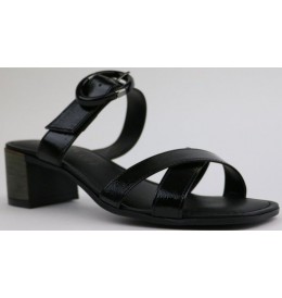 Cerutti 21655 - Black varnish - 21655$01CE