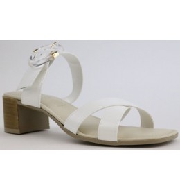 Cerutti 21655 - White - 21655$14CE