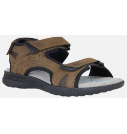 Geox DANDRA 40 A D45SCA - Brown - U25ELA$6009.03G