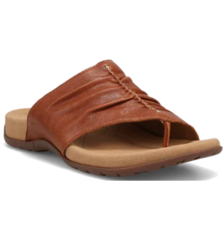 Taos GIFT2  GT2-12045 - Tan - GIFT2$08TO