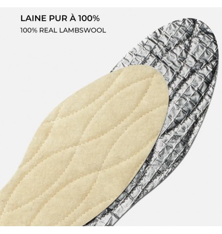 Vega Polaris - None - SEM POLARIS