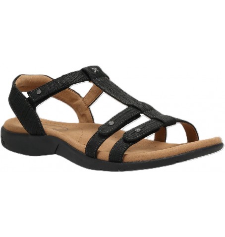 Taos TROPHY2 T02-13765 - Noir - TROPHY2$02TO3 Taos TROPHY2 T02-13765 - Noir - TROPHY2$02TO3